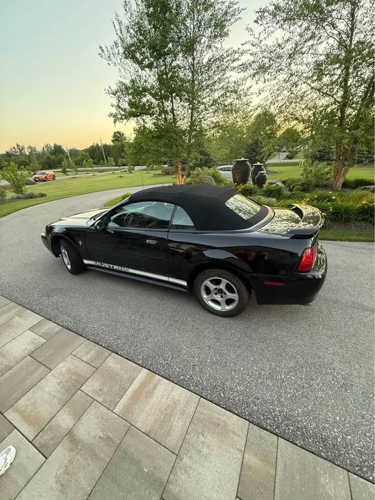 2002 Ford SN95 Mustang - Image 4 of 6