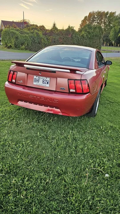 2002 Ford SN95 Mustang - Image 4 of 10