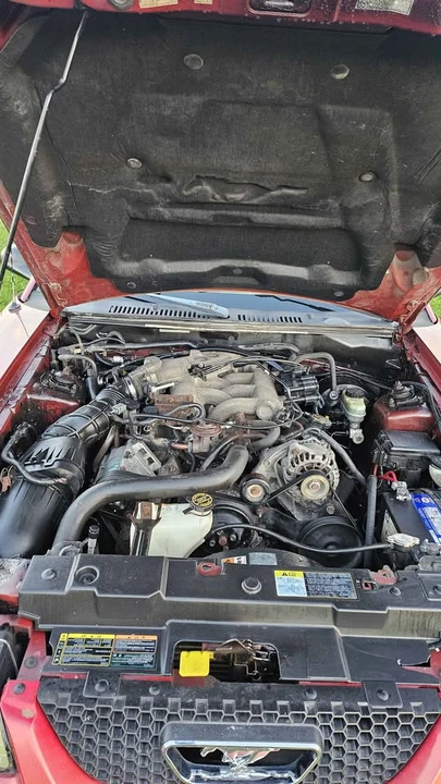 2002 Ford SN95 Mustang - Image 10 of 10