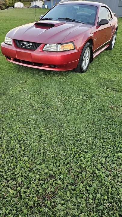 2002 Ford SN95 Mustang - Image 5 of 10