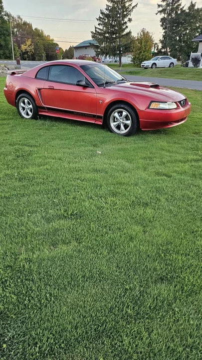 2002 Ford SN95 Mustang - Image 2 of 10