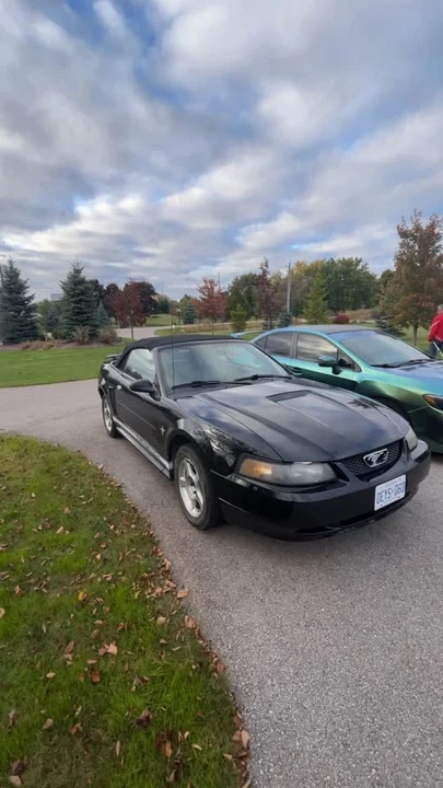 2002 Ford SN95 Mustang - Image 6 of 6