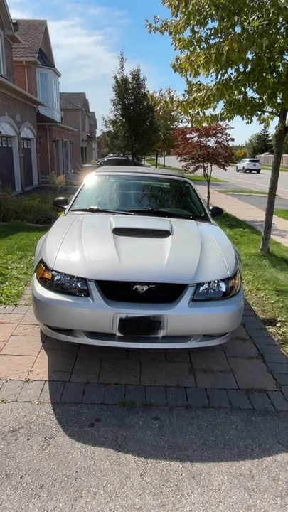 2002 Ford SN95 Mustang - Image 2 of 10