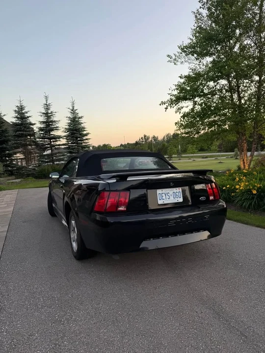 2002 Ford SN95 Mustang - Image 3 of 6