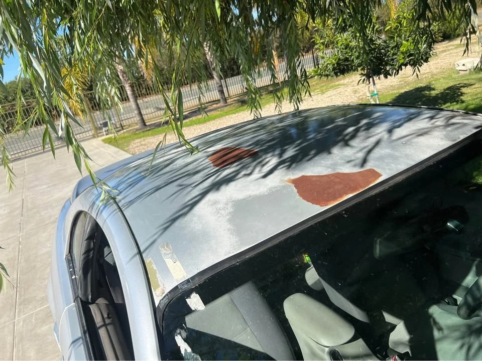 2002 Ford SN95 Mustang - Image 2 of 3