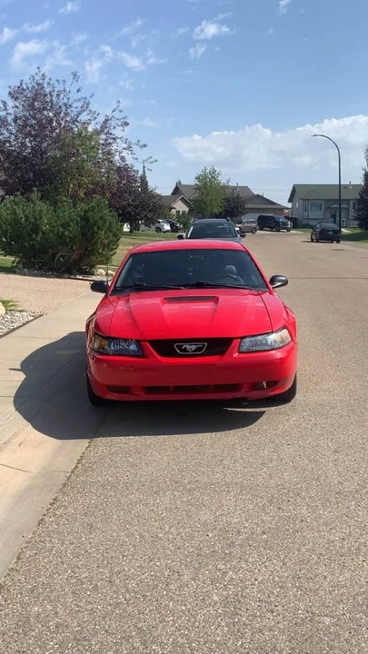 2002 Ford SN95 Mustang - Image 2 of 7