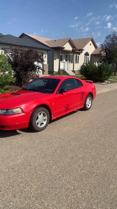2002 Ford SN95 Mustang - Image 3 of 7