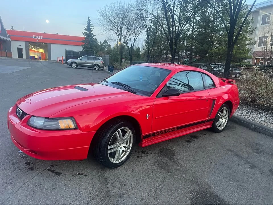2002 Ford SN95 Mustang - Image 3 of 7