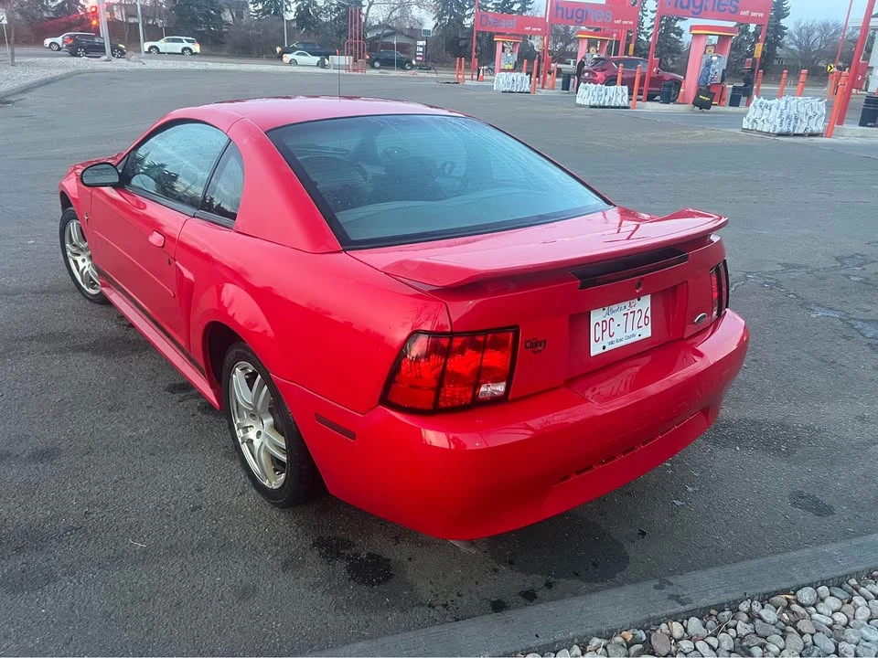 2002 Ford SN95 Mustang - Image 4 of 7