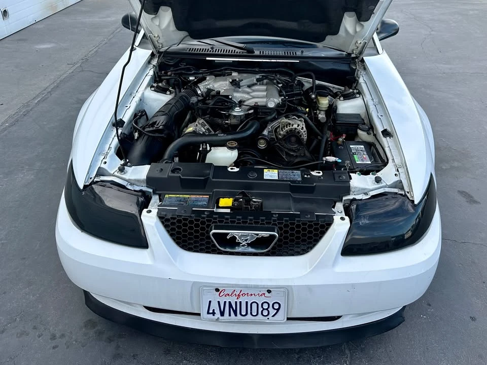 2002 Ford SN95 Mustang - Image 13 of 14