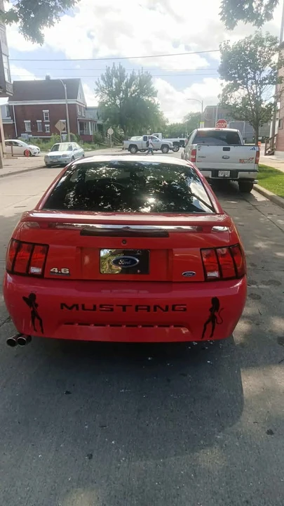 2002 Ford SN95 Mustang - Image 5 of 15