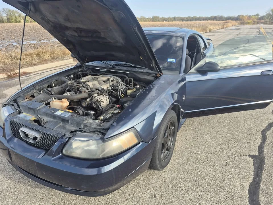 2002 Ford SN95 Mustang - Image 2 of 2