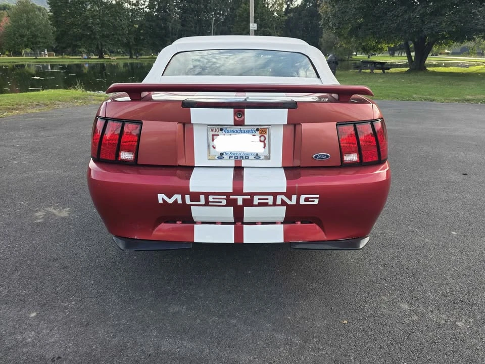 2002 Ford SN95 Mustang - Image 4 of 15