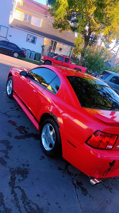2002 Ford SN95 Mustang - Image 14 of 15