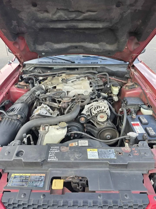 2002 Ford SN95 Mustang - Image 13 of 15