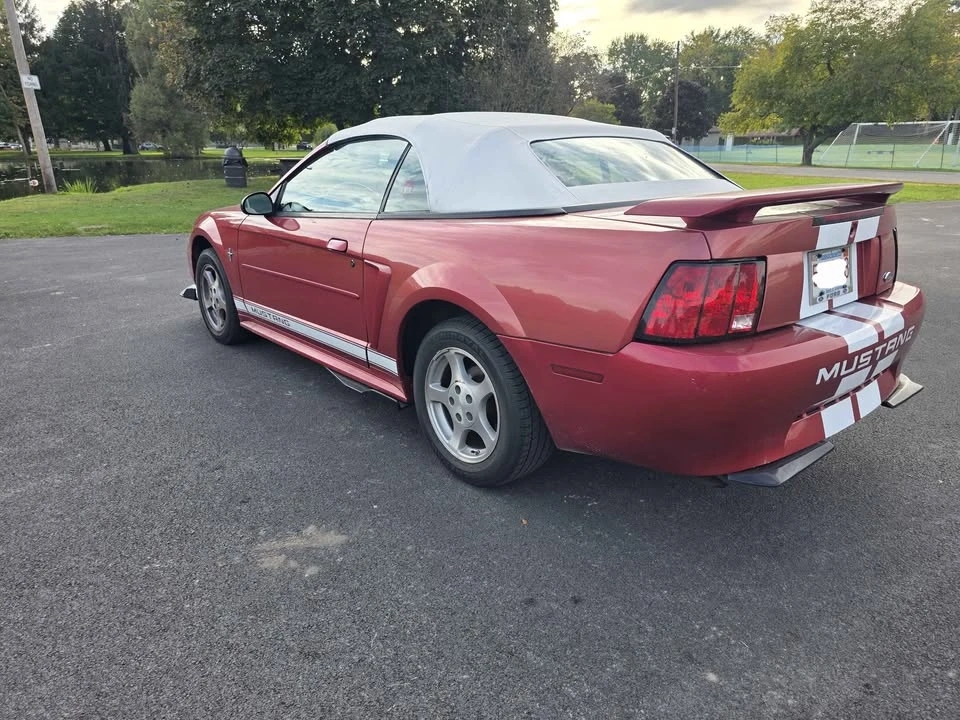 2002 Ford SN95 Mustang - Image 5 of 15