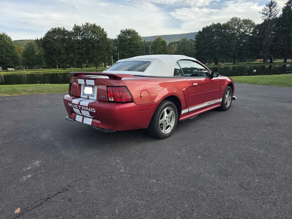 2002 Ford SN95 Mustang - Image 3 of 15