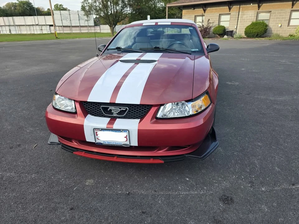 2002 Ford SN95 Mustang - Image 7 of 15