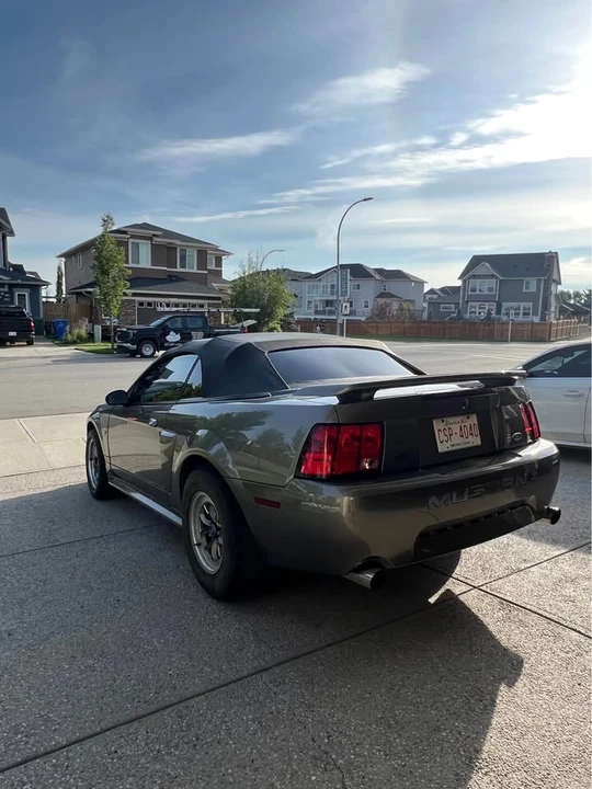 2002 Ford SN95 Mustang - Image 5 of 6