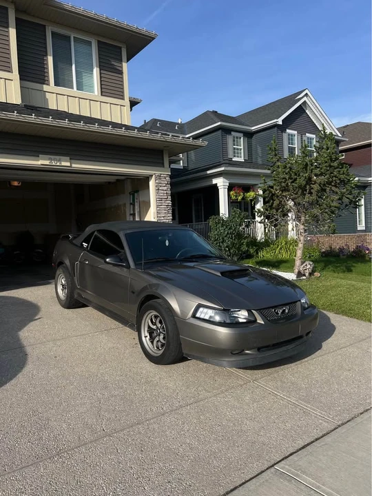 2002 Ford SN95 Mustang - Image 3 of 6