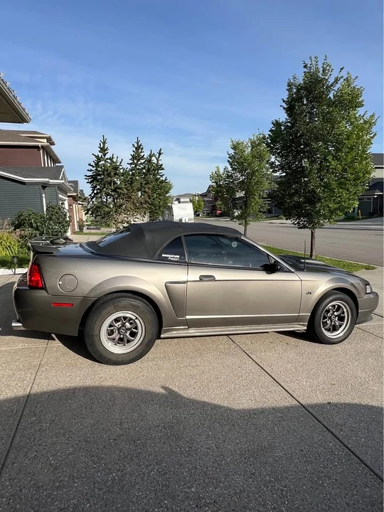 2002 Ford SN95 Mustang - Image 4 of 6