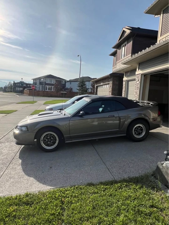 2002 Ford SN95 Mustang - Image 2 of 6