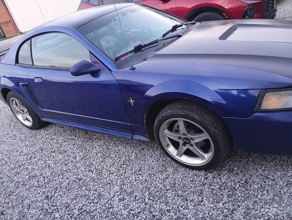 2002 Ford SN95 Mustang - Image 3 of 4