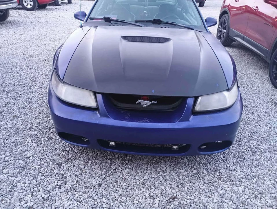 2002 Ford SN95 Mustang - Image 4 of 4