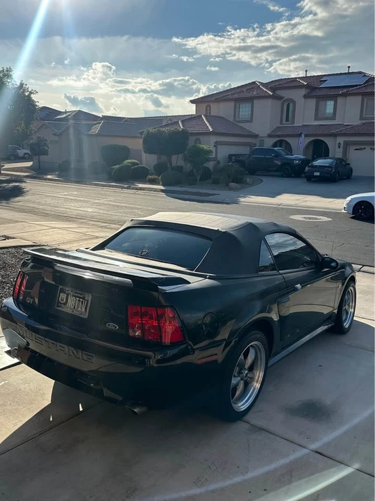 2002 Ford SN95 Mustang - Image 5 of 9