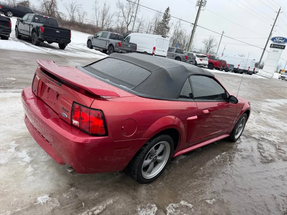 2002 Ford SN95 Mustang - Image 4 of 9