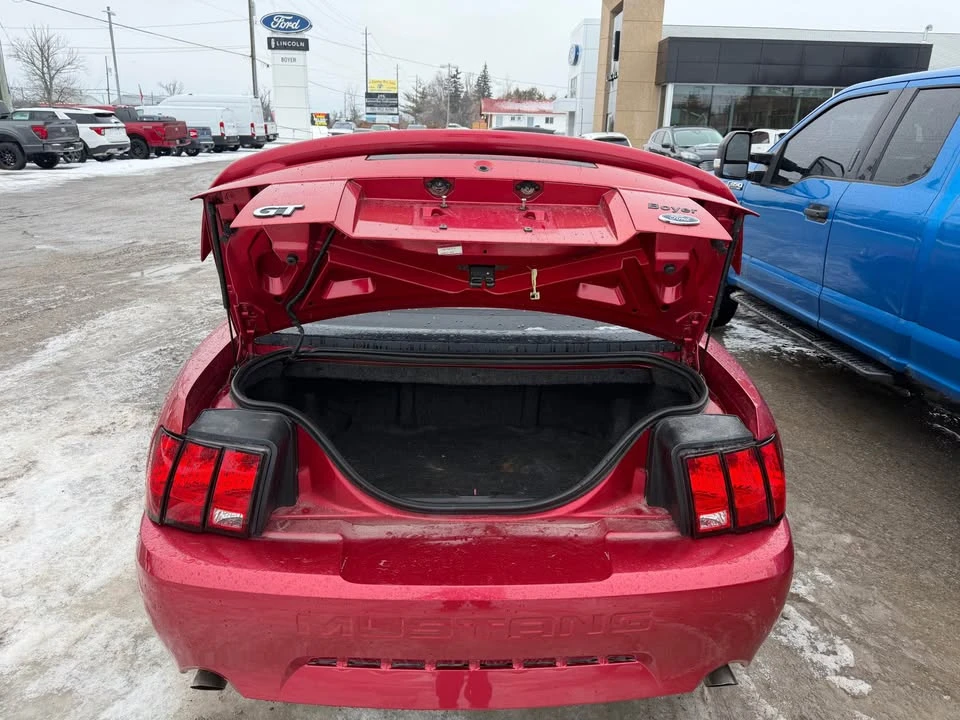 2002 Ford SN95 Mustang - Image 5 of 9