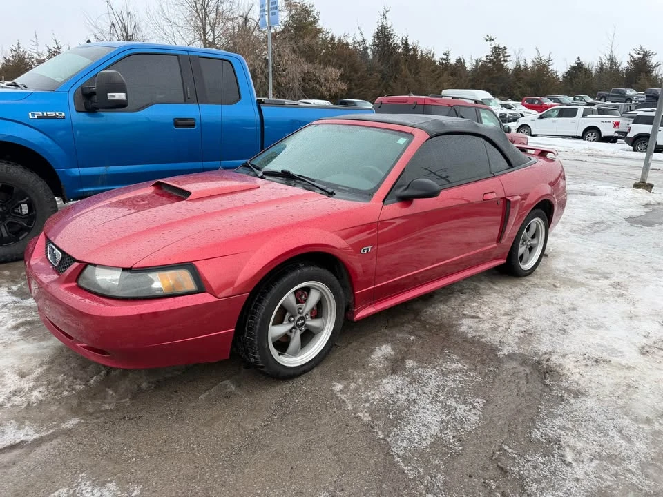 2002 Ford SN95 Mustang - Image 2 of 9