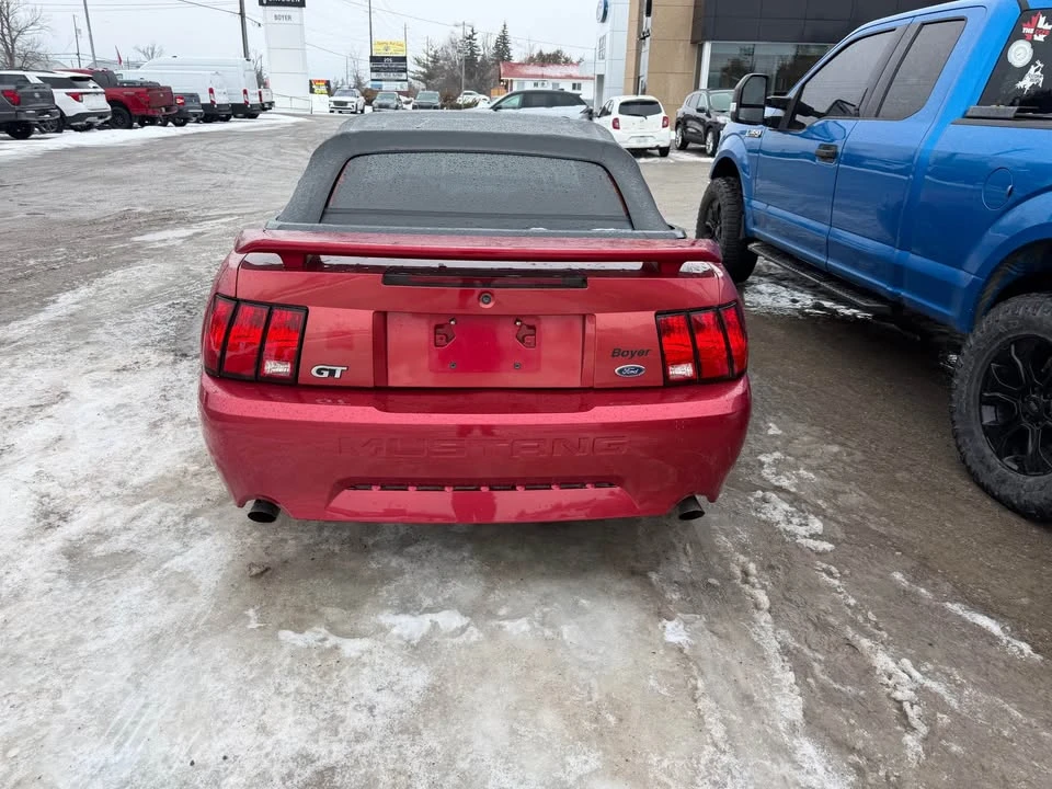 2002 Ford SN95 Mustang - Image 3 of 9