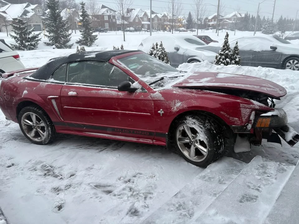 2002 Ford SN95 Mustang - Image 8 of 13