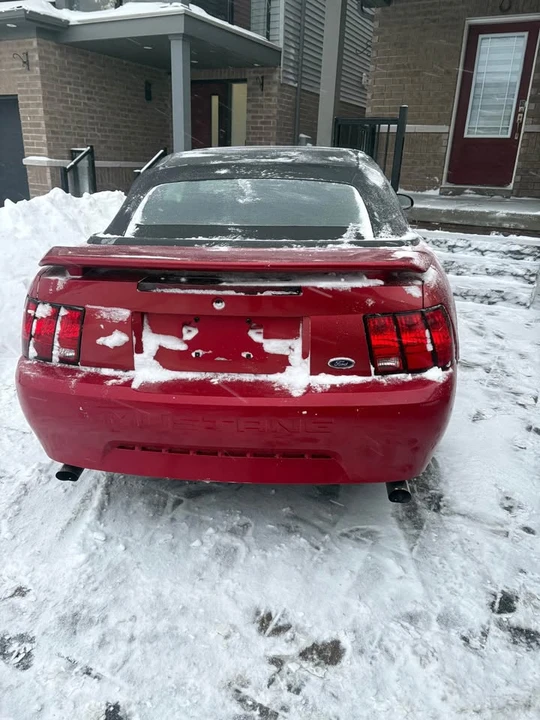 2002 Ford SN95 Mustang - Image 3 of 13