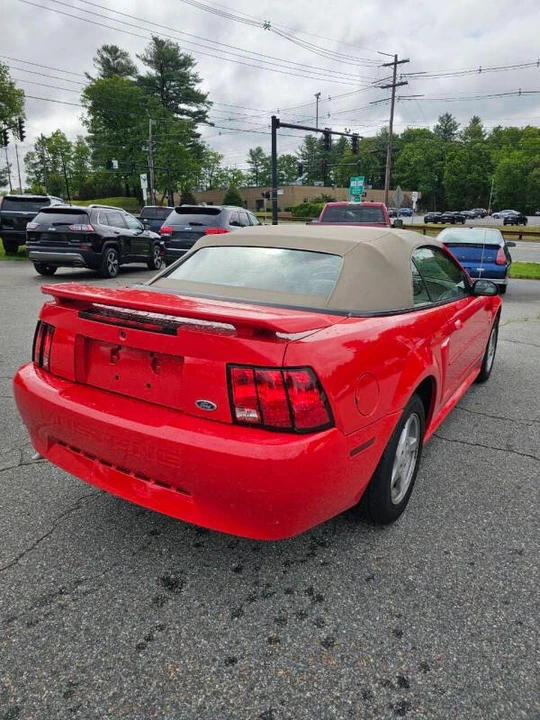 2002 Ford SN95 Mustang - Image 5 of 11