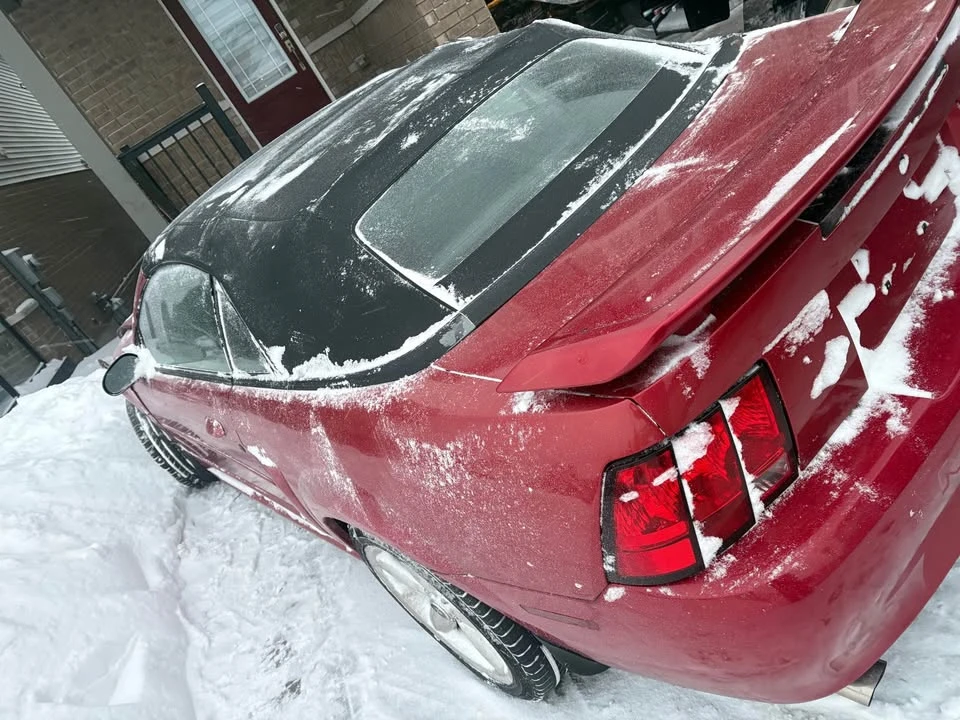 2002 Ford SN95 Mustang - Image 2 of 13