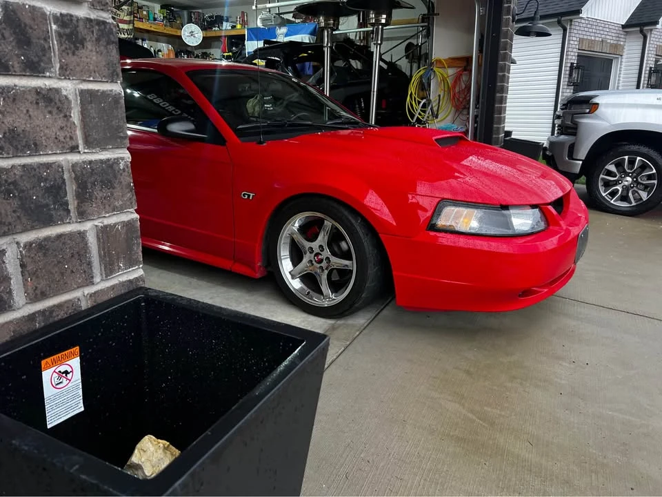 2002 Ford SN95 Mustang - Image 2 of 7