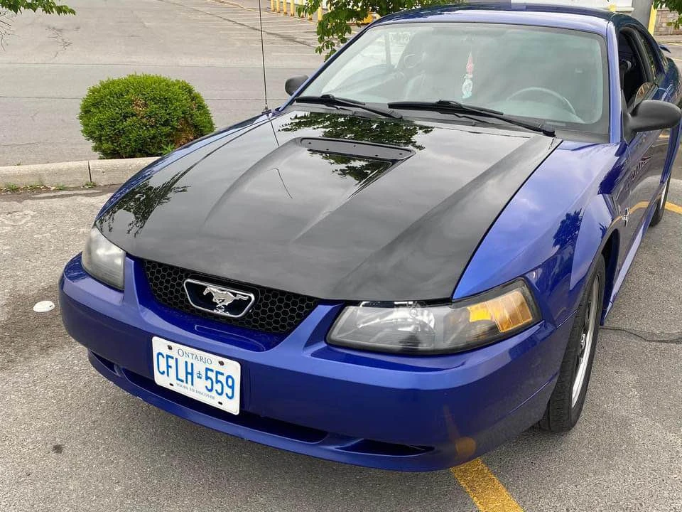 2002 Ford SN95 Mustang - Image 2 of 3