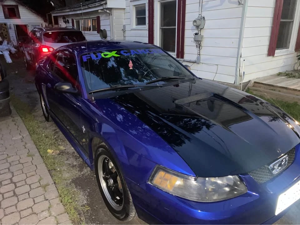 2002 Ford SN95 Mustang - Image 3 of 3