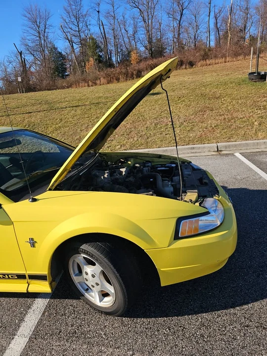 2002 Ford SN95 Mustang - Image 5 of 13