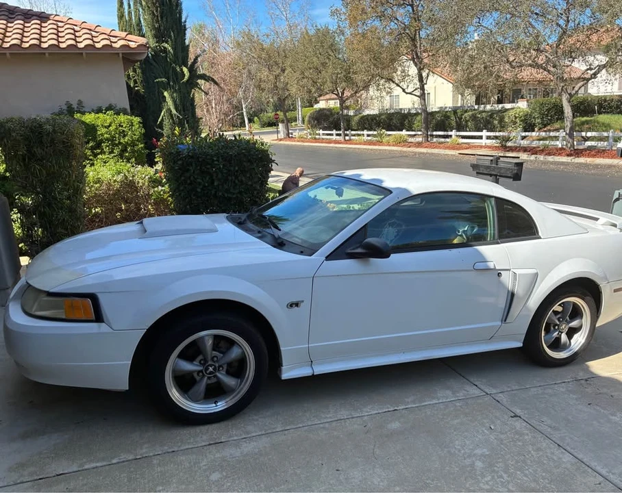 2002 Ford SN95 Mustang - Image 5 of 7
