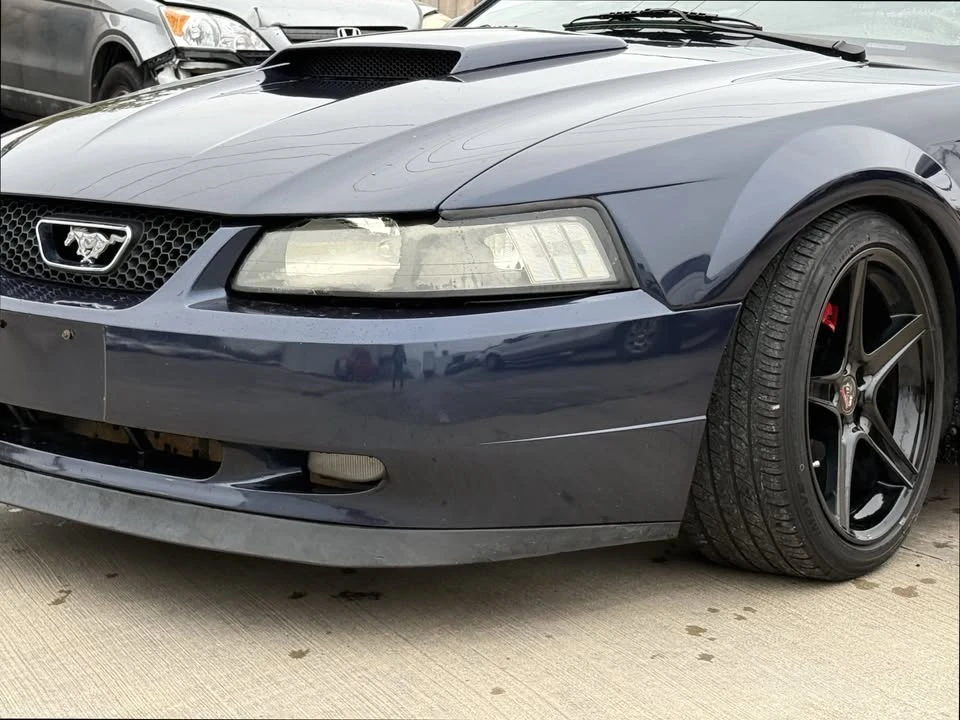 2002 Ford SN95 Mustang - Image 8 of 20