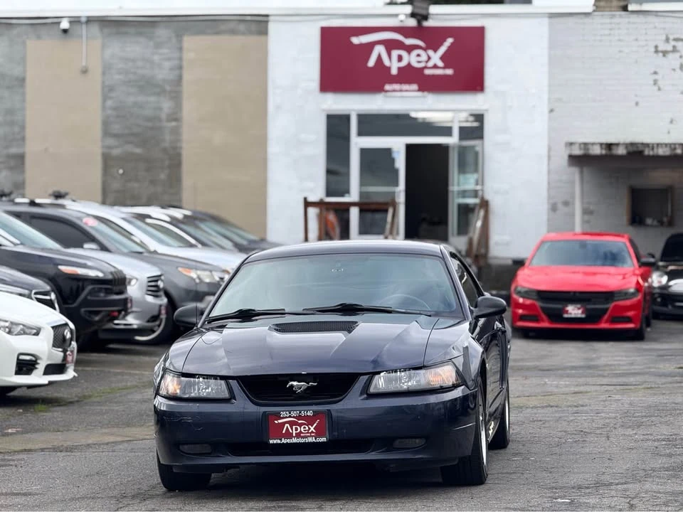 2002 Ford SN95 Mustang - Image 3 of 14