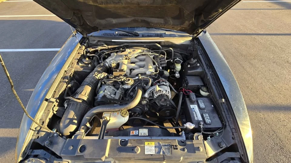 2002 Ford SN95 Mustang - Image 8 of 15