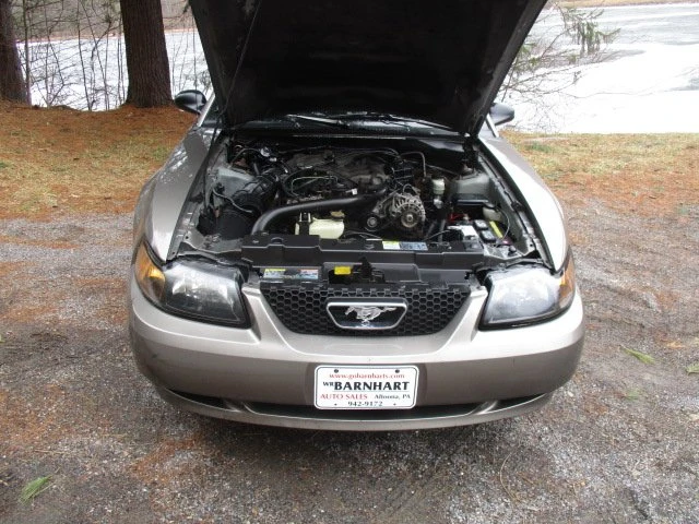 2002 Ford SN95 Mustang - Image 5 of 20