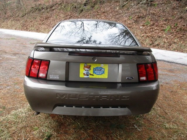 2002 Ford SN95 Mustang - Image 13 of 20