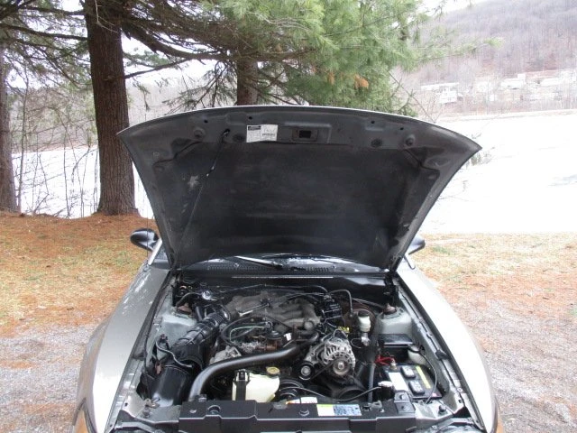 2002 Ford SN95 Mustang - Image 4 of 20