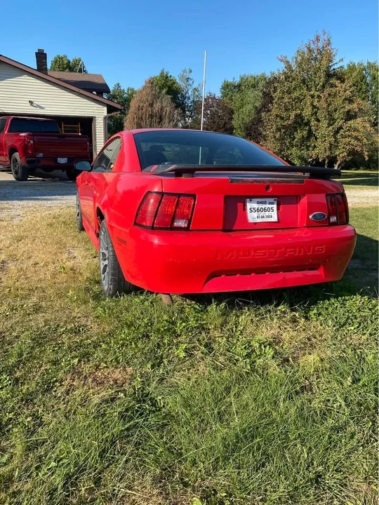2002 Ford SN95 Mustang - Image 3 of 5