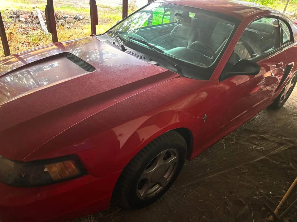 2002 Ford SN95 Mustang - Image 7 of 10